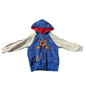 Nickelodeon Blue and Gray Hoodie with Red Accents